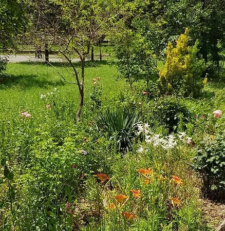 Georgi Baev Апартаменты